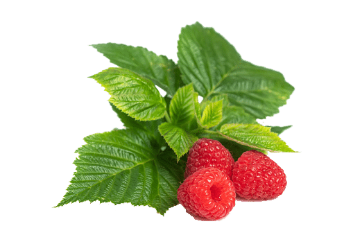 Framboise