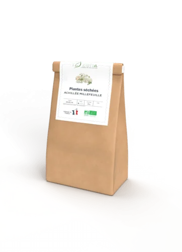 Achillée millefeuille - Sachet 20 grammes