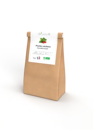 Framboisier – Sachet 20 grammes